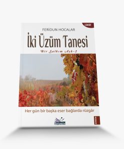 İki Üzüm Tanesi En İyi Roman Kitapları