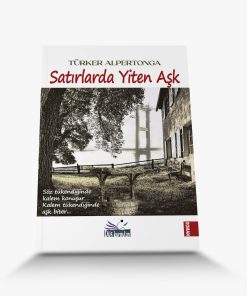 Satırlarda Yiten Aşk En İyi Roman Kitapları