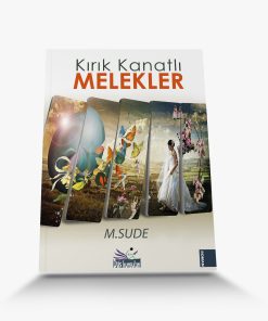 Kırık Kanatlı Melekler Kitap