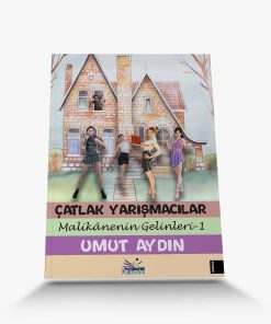 En iyi romanlar çatlak yarışmacılar