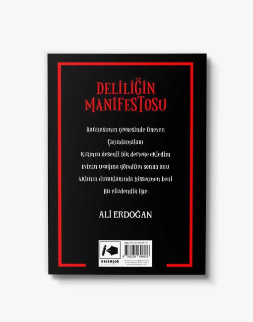 en iyi şiir kitapları deliliğin manifestosu
