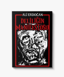 güzel şiir kitapları deliliğin manifestosu