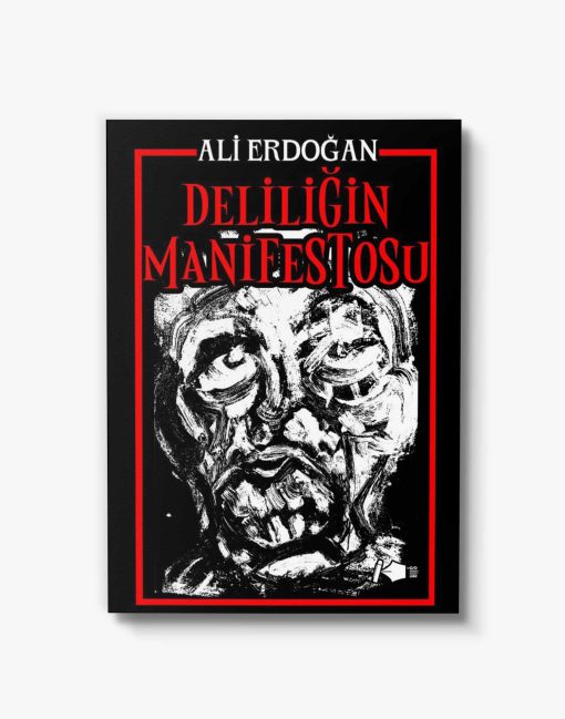 güzel şiir kitapları deliliğin manifestosu