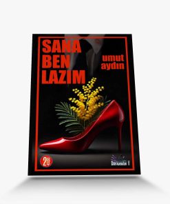 roman sana ben lazım