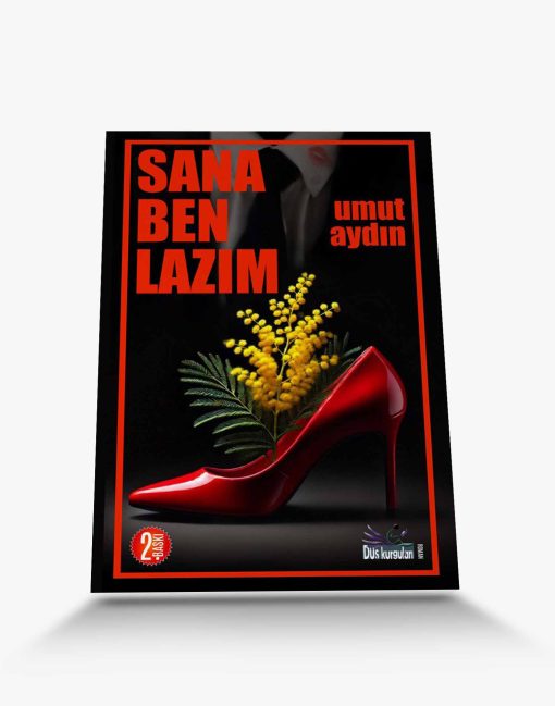 roman sana ben lazım