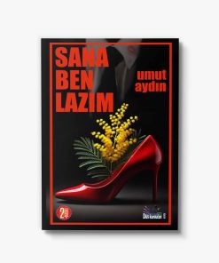 romanlar sana ben lazım