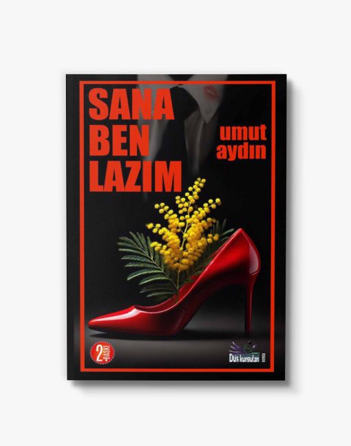 romanlar sana ben lazım