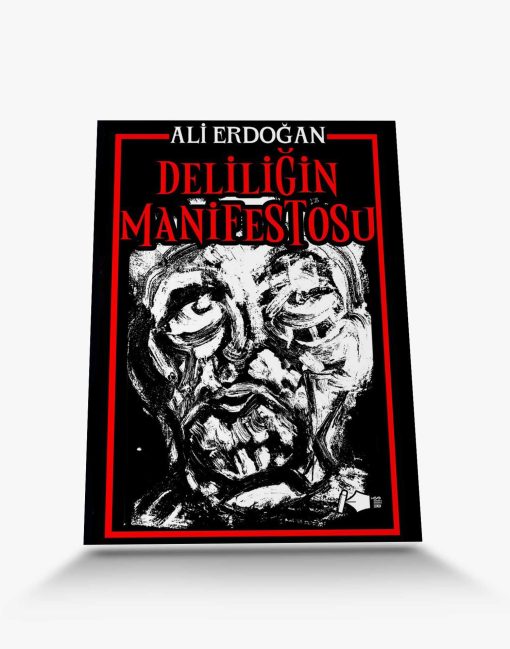 şiir kitapları deliliğin manifestosu