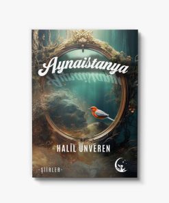 şiirler ayna istanya