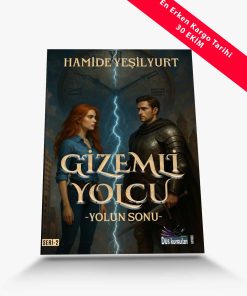 romanlar gizemli yolcu