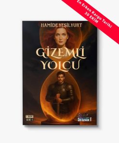 roman kitap gizemli yolcu yolun sonu