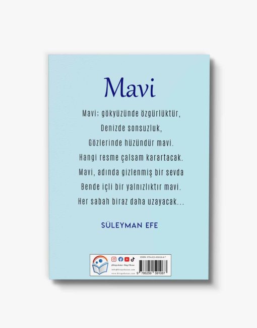 şiir kitapları mavi
