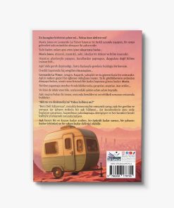 roman kitabı Beni Deli Ediyorsun