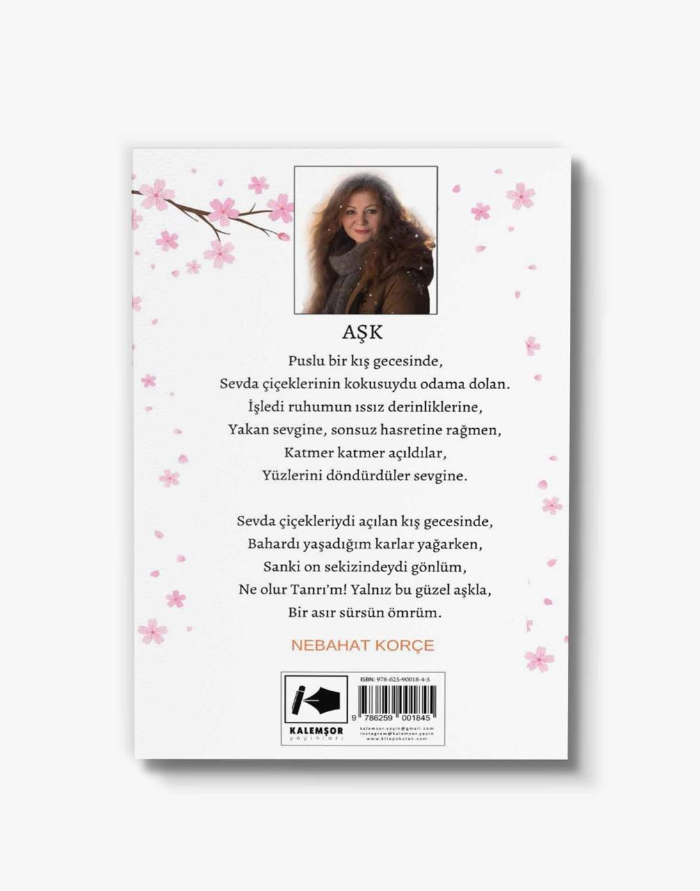en iyi şiir kitabı rüya kız