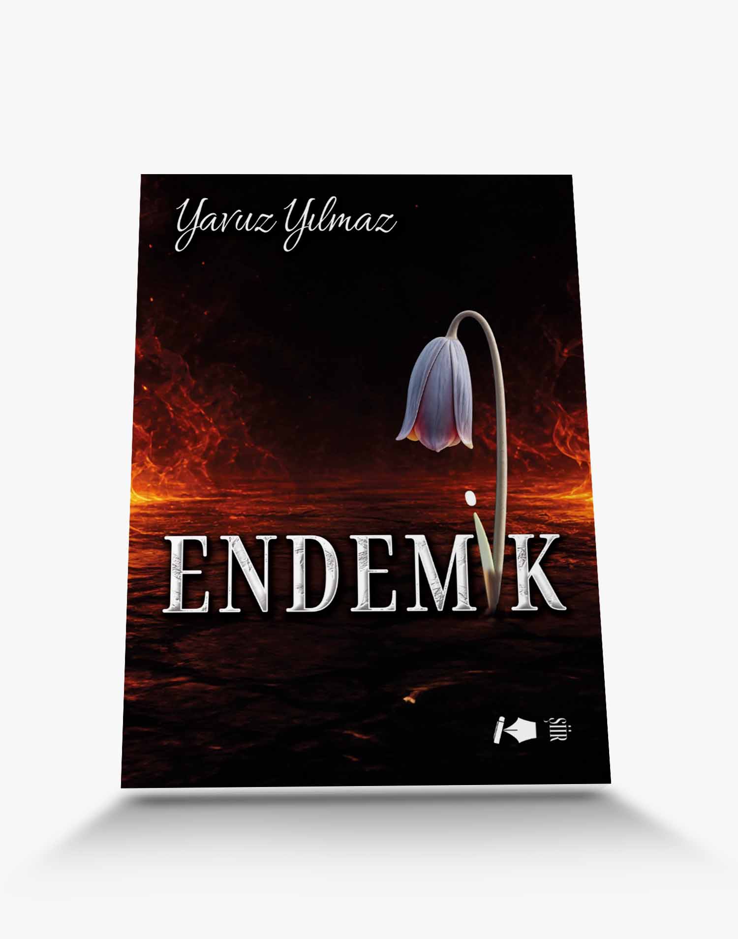 şiir kitap Endemik